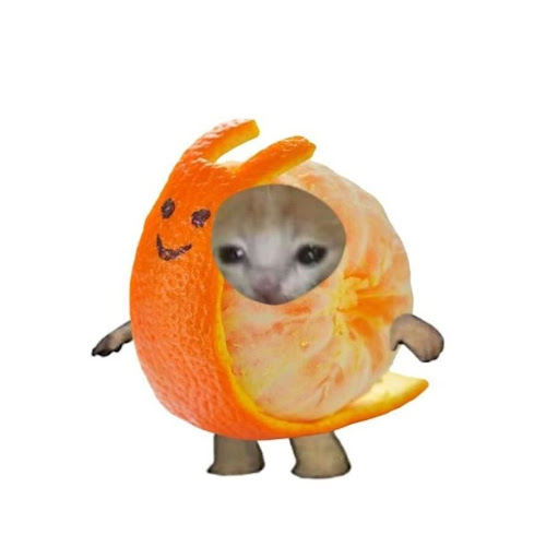 Interesting Reference