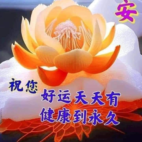 Fong Fong