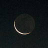 fox on moon