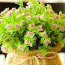 Created by