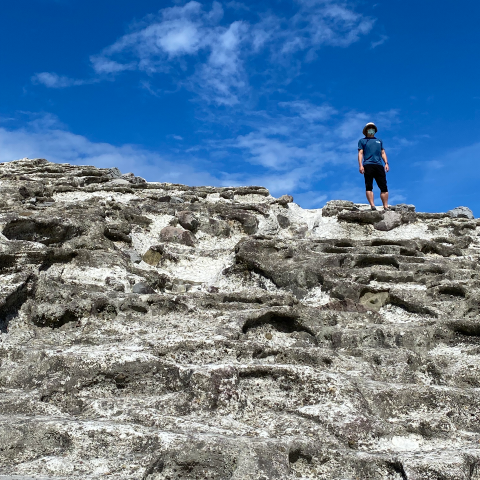 SHIN-CHOU KUO的頭像