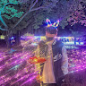 李承鴻164