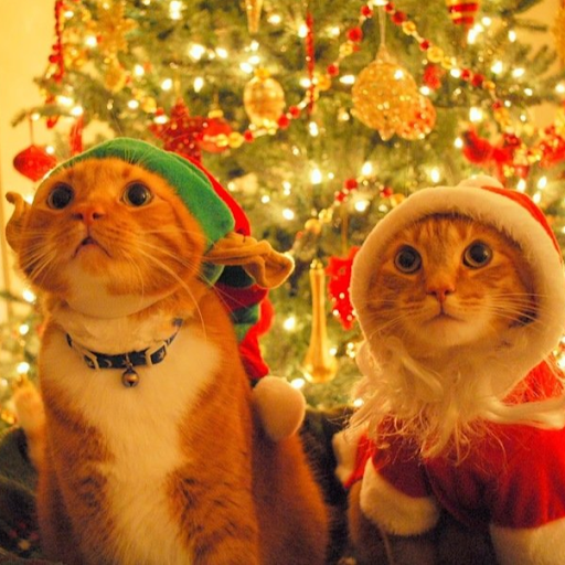 Sherlock Aphordite Moon