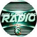 Bible chat Pro Radio probate court review