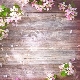 profile image of Kanu Agarwal