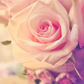 Abrar Alquraini