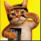 عضو: Евгений Васильев