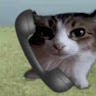 腎虛