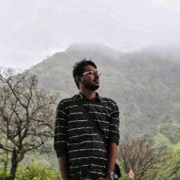 Adithya Palakurthy