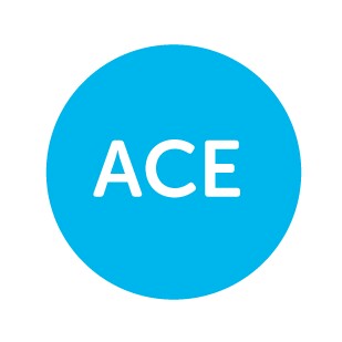 Ace Gaming237