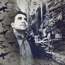 author