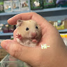 小貝貝
