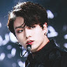 BTS army lover annu