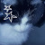 author-avatar