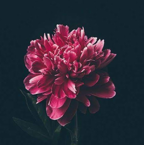 user-avatar