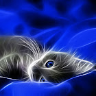 Utilizator: Thị Khánh Hòa Vũ