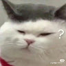 林熙圓