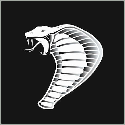 Author avatar