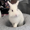 郝于萱