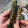 向榮輝