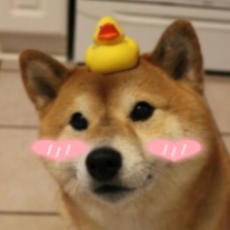 HackMD profile picture for @chewy