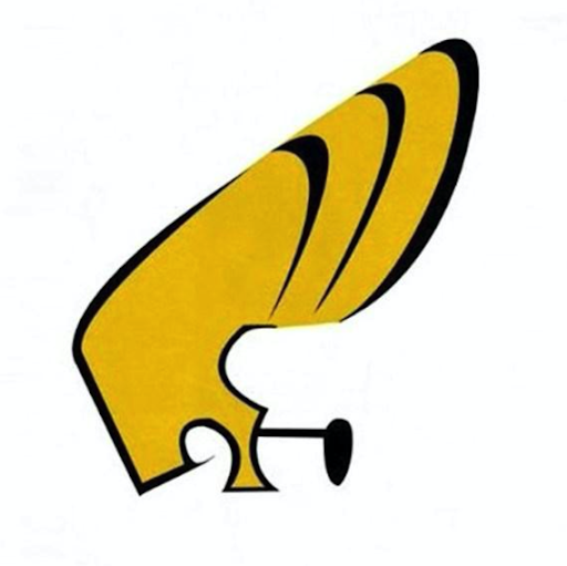 Image pertaining to HAIR LOSS GUIDE