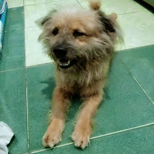 Ly Quoc Thinh Ly Quoc Thinh