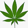 Writer: Medmarijuanacard NY