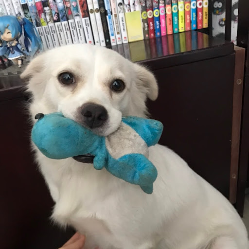 Hình đại diện của Yuuki -chan