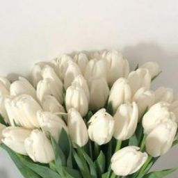 Arwa