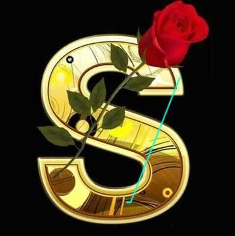 Sharon nicol Carreño algarra