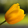 Created by