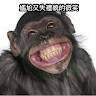 李皓穠