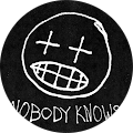 Nobody Knows image