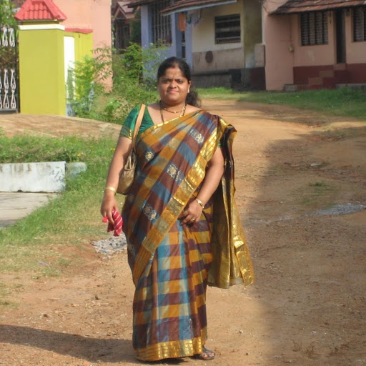 Vidya Vikas