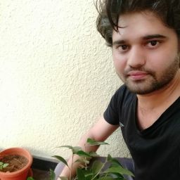 Author profile picture