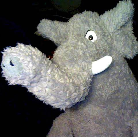 Avatar von - der wahre berndpaulwilli -