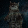 Image pertaining to MEI PROG