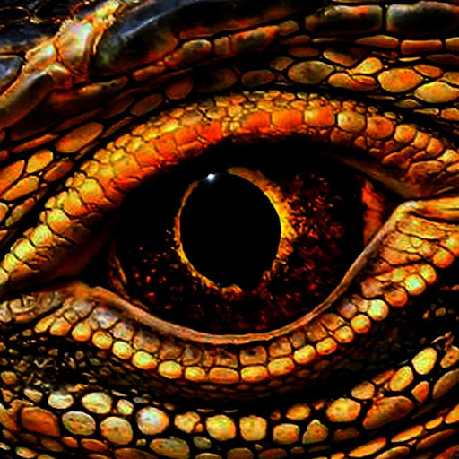 Joe Corsaro's avatar