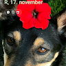 Created by
