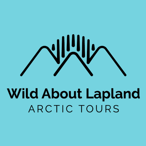 Wild About Lapland