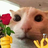 SARU