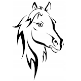 Használó: Daniel Szefler