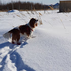 ユーザー: Мульт тв