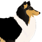 Anne K. Frey's avatar