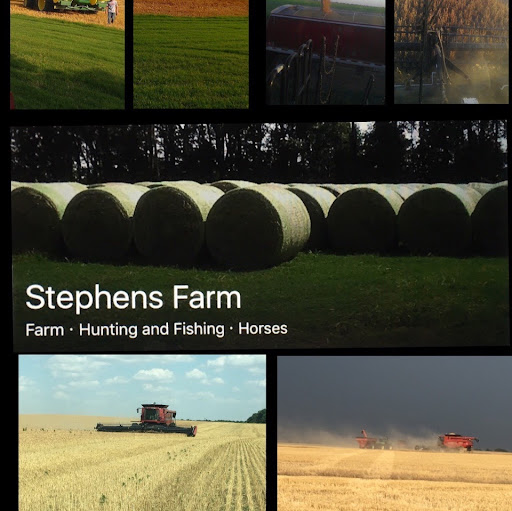 Zach Stephens