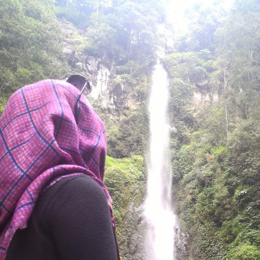 Maimunah profile icon