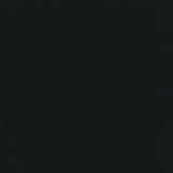 姚衎