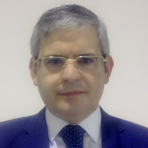 Paulo Gonçalves