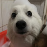 艾怡媛